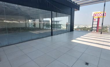 Local en  renta dominio cumbres