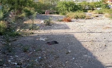 TERRENO COMERCIAL EN RENTA EN SANTA CATARINA