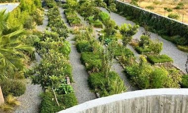 Altos de Juriquilla penthouse en RENTA RAH386