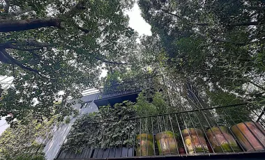 Casa en venta en San Angel Inn, Álvaro Obregón, Ciudad de México
