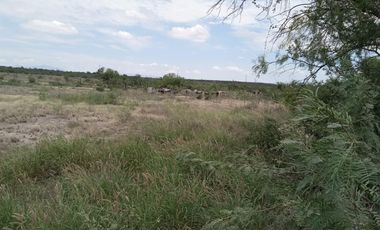 TERRENO INDUSTRIAL EN RENTA EN SALINAS VICTORIA N.L.