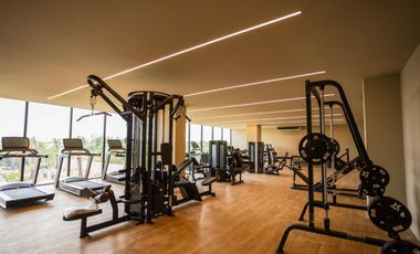 Departamento en  Venta o Renta en Fraccionamiento Altabrisa