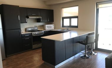 Torre A depto Amueblado 1 recamara ( amplisimo ) excelente