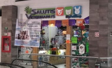 Renta de Local en Toluca