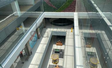 Renta de Local en Toluca