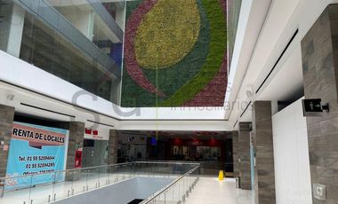 Renta de Local en Toluca
