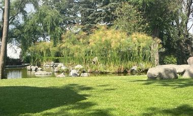 Departamento en Renta Amueblado y Equipado en Frondoso Lomas Anáhuac