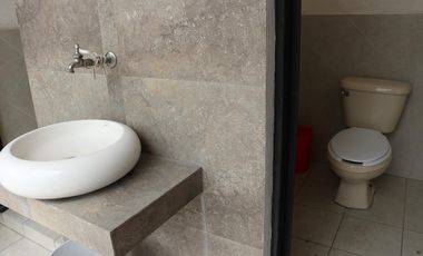 Bodega En Renta Zona Centro León Guanajuato