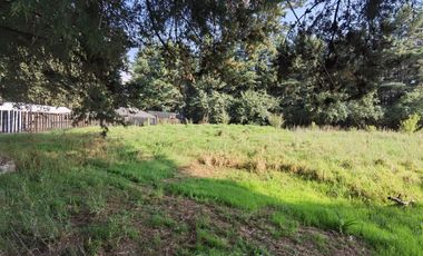 Terreno en renta en el ejido de la Campana muy cerca de la carretera Toluca-Mexico