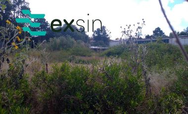 Terreno - Puebla de Zaragoza