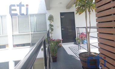 PH en renta Insurgentes Cuicuilco