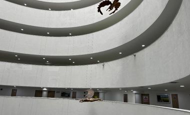 RENTA CONSULTORIO JURIQUILLA   QUERETARO  HOSPITAL MOSCATI