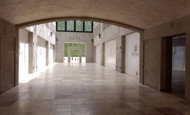 OFICINAS Y CONSULTORIOS EN RENTA EN PLAZA ANTIGUA (ZONA ESMERALDA)