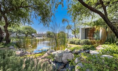 Departamento en Renta en Sophía a unos metros de Antea (Modelo B)