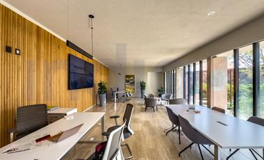 Departamento en Renta en Sophía a unos metros de Antea (Modelo B)