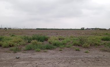 TERRENO INDUSTRIAL EN RENTA EN SALINAS VICTORIA