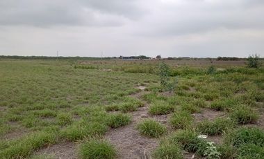 TERRENO INDUSTRIAL EN RENTA EN SALINAS VICTORIA