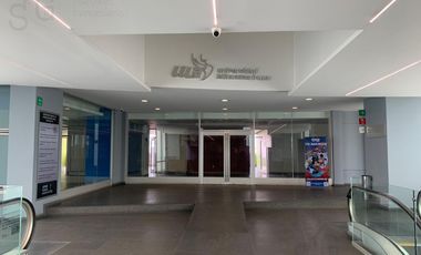 Local en  Super Plaza Miramontes, Canal de Miramontes