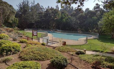 Departamento en Arriendo en Centro de Papudo