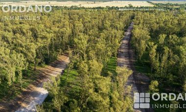 TERRENO NUEVO MALAGUEÑO. Mza 189 Lt 100