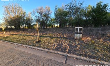 TERRENO NUEVO MALAGUEÑO. Mza 189 Lt 100