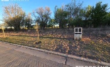 TERRENO NUEVO MALAGUEÑO. Mza 189 Lt 100