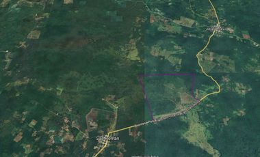 Rancho Las 3 SSS en Venta en Bacalar Quintana Roo