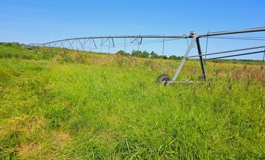 Rancho Las 3 SSS en Venta en Bacalar Quintana Roo