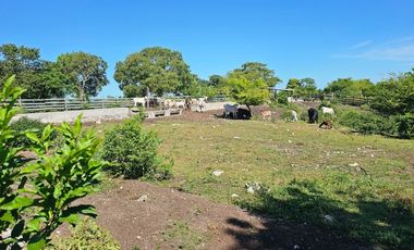 Rancho Las 3 SSS en Venta en Bacalar Quintana Roo