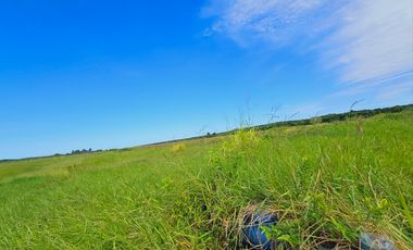 Rancho Las 3 SSS en Venta en Bacalar Quintana Roo