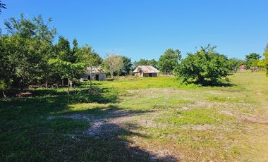Rancho Las 3 SSS en Venta en Bacalar Quintana Roo