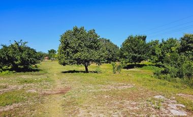 Rancho Las 3 SSS en Venta en Bacalar Quintana Roo