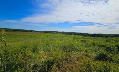 Rancho Las 3 SSS en Venta en Bacalar Quintana Roo