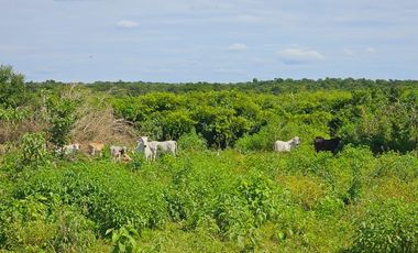 Rancho Las 3 SSS en Venta en Bacalar Quintana Roo