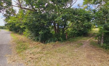 Rancho Las 3 SSS en Venta en Bacalar Quintana Roo