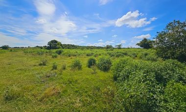 Rancho Las 3 SSS en Venta en Bacalar Quintana Roo