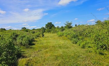 Rancho Las 3 SSS en Venta en Bacalar Quintana Roo