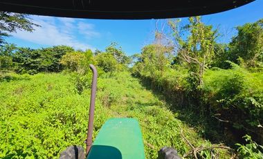 Rancho Las 3 SSS en Venta en Bacalar Quintana Roo