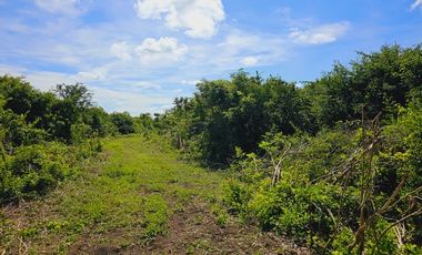 Rancho Las 3 SSS en Venta en Bacalar Quintana Roo