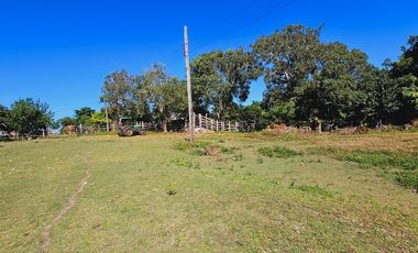 Rancho Las 3 SSS en Venta en Bacalar Quintana Roo