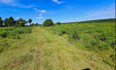 Rancho Las 3 SSS en Venta en Bacalar Quintana Roo