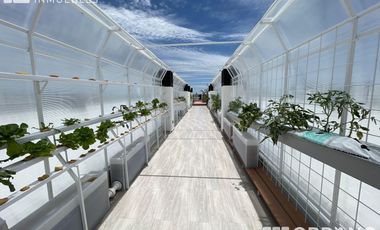 Departamento Dos Dormitorios en Alquiler