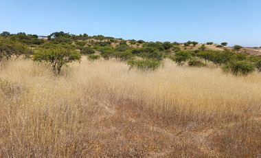 VENTA PARCELA 5000MTS EN LITUECHE