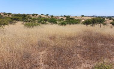 VENTA PARCELA 5000MTS EN LITUECHE