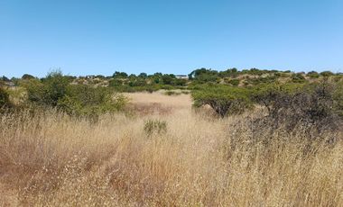 VENTA PARCELA 5000MTS EN LITUECHE