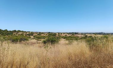 VENTA PARCELA 5000MTS EN LITUECHE