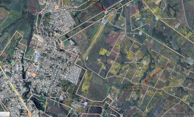 VENTA PARCELA 5000MTS EN LITUECHE