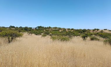 VENTA PARCELA 5000MTS EN LITUECHE