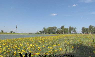 Lote Venta  San Lucas San Vicente