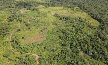 Chacra en Santo Pipo,  44 ha forestación, yerba y monte
